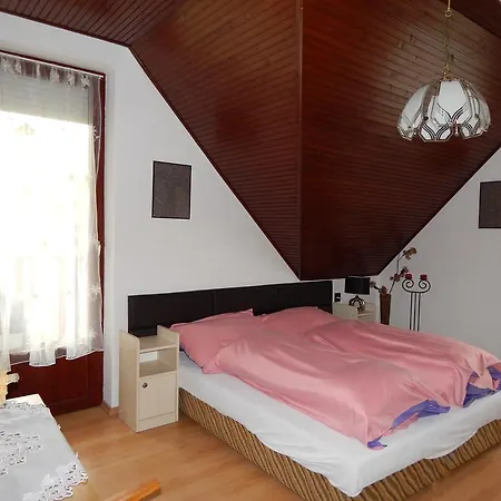 Rokszin Apartman Gyula